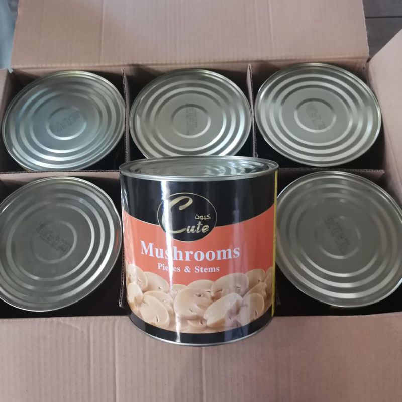 منتجاتنا اثناء التحميل