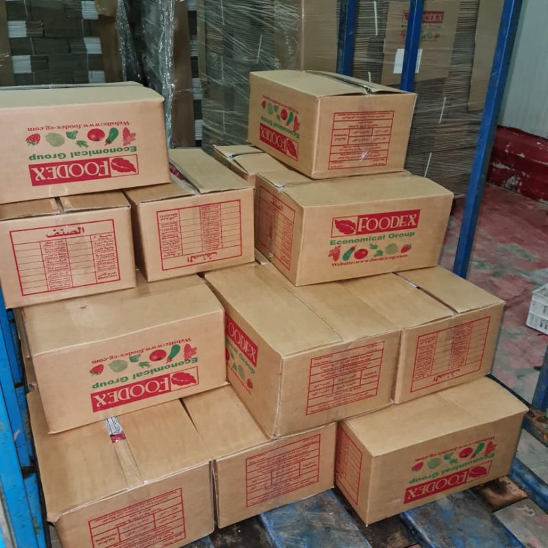 منتجاتنا اثناء التحميل