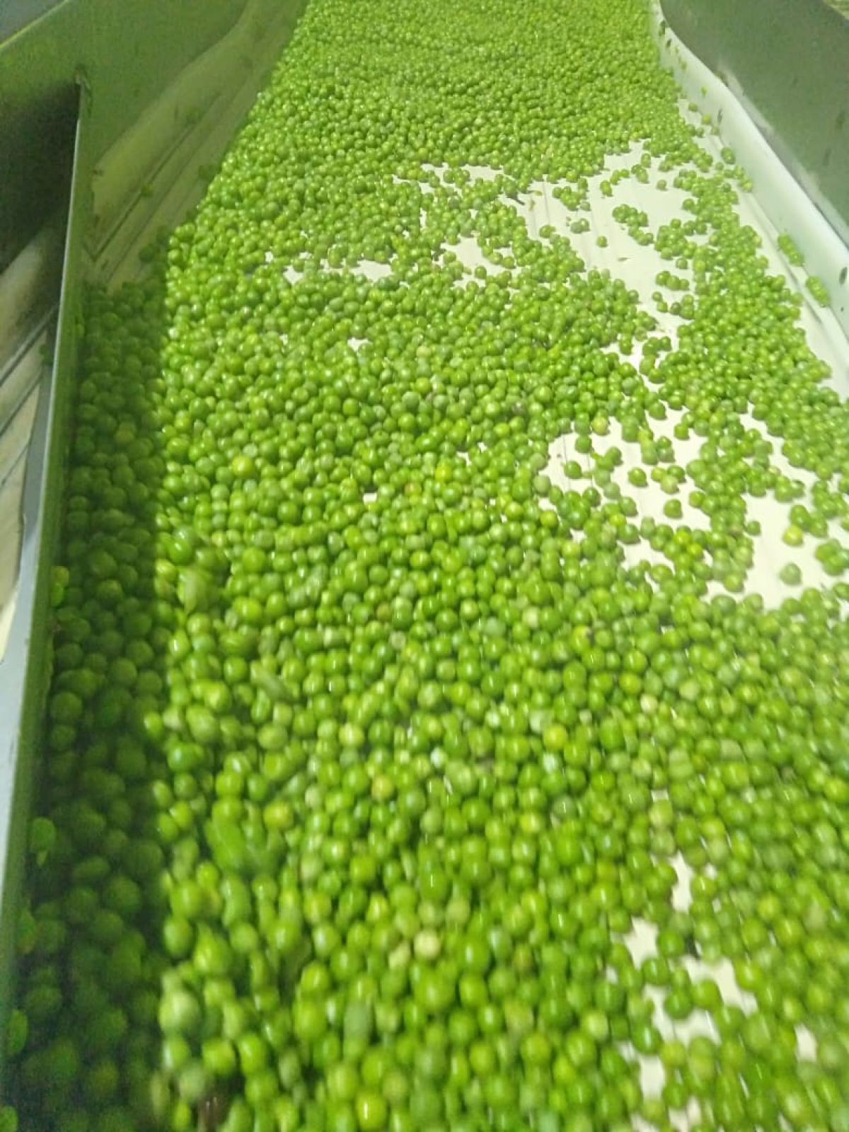 Frozen green peas