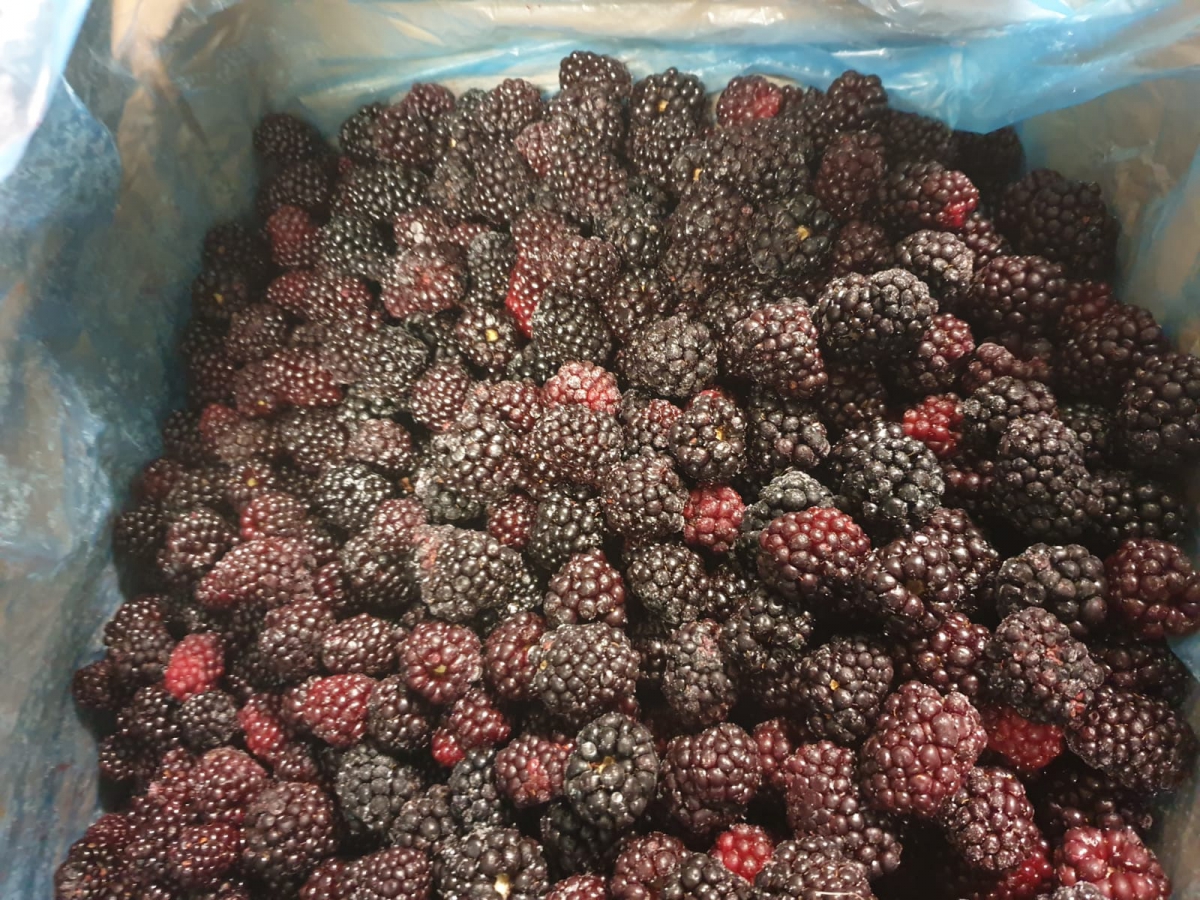 Frozen blackberries