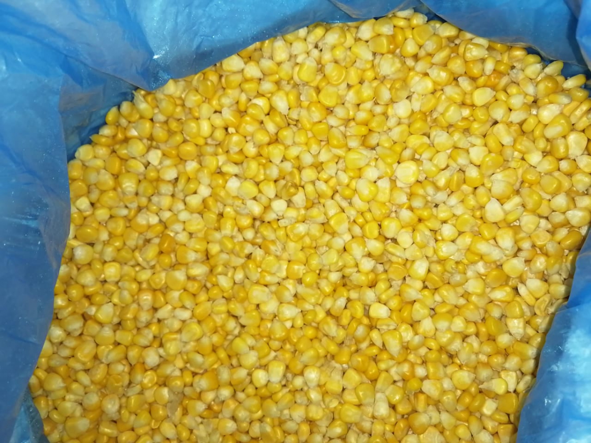 Frozen corn kernels 