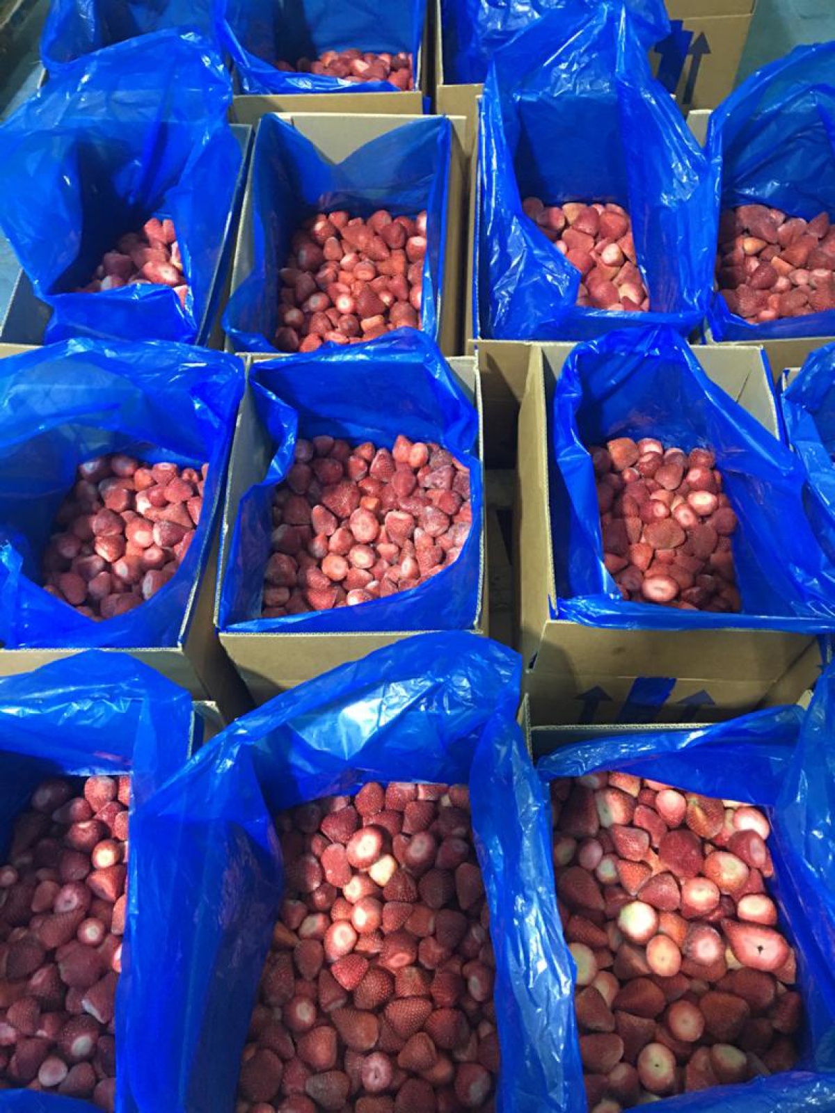 Frozen strawberry Bulk cartoon 10 kilos