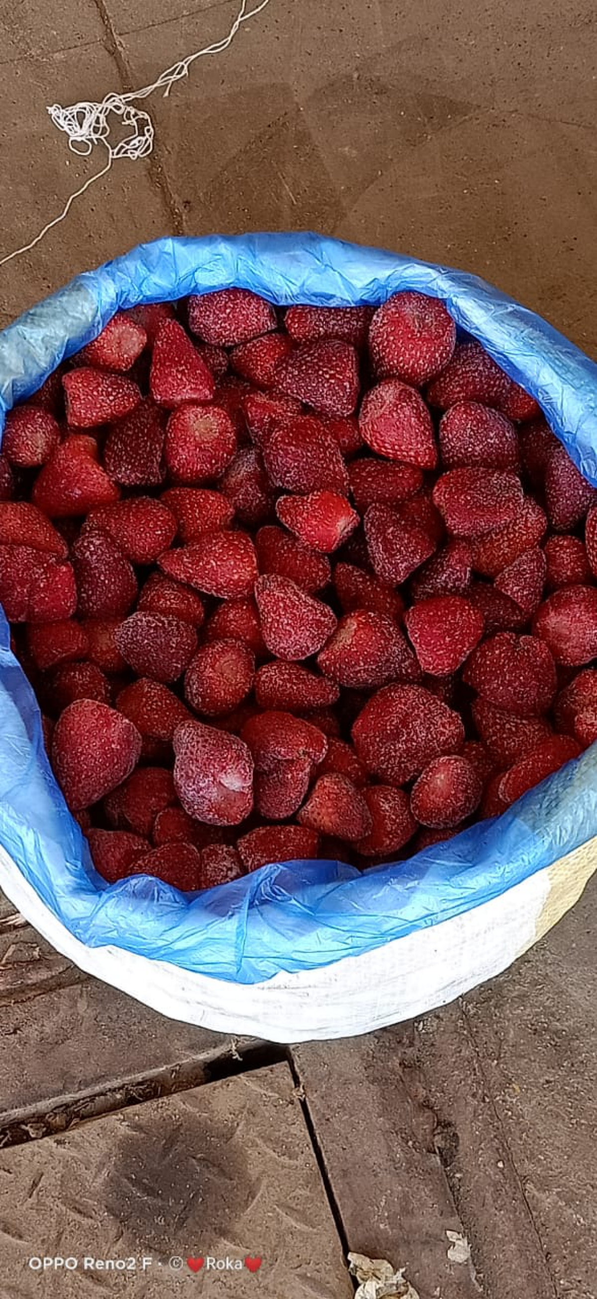 Frozen strawberry shakers 25 kilos