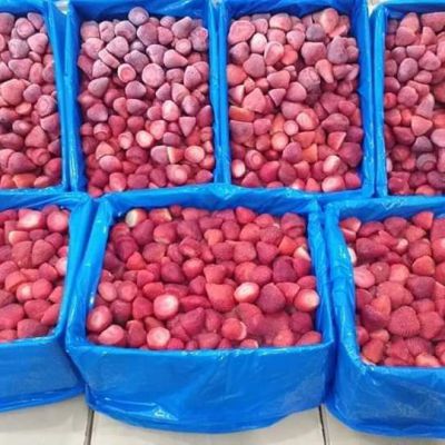 Frozen strawberry Bulk cartoon 10 kilos