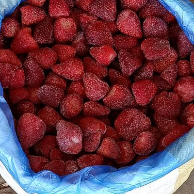 Frozen strawberry shakers 25 kilos