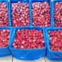 Frozen strawberry Bulk cartoon 10 kilos