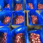 Frozen strawberry Bulk cartoon 10 kilos